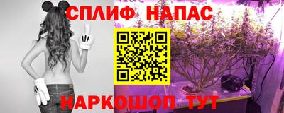 прущие крисы Аргун
