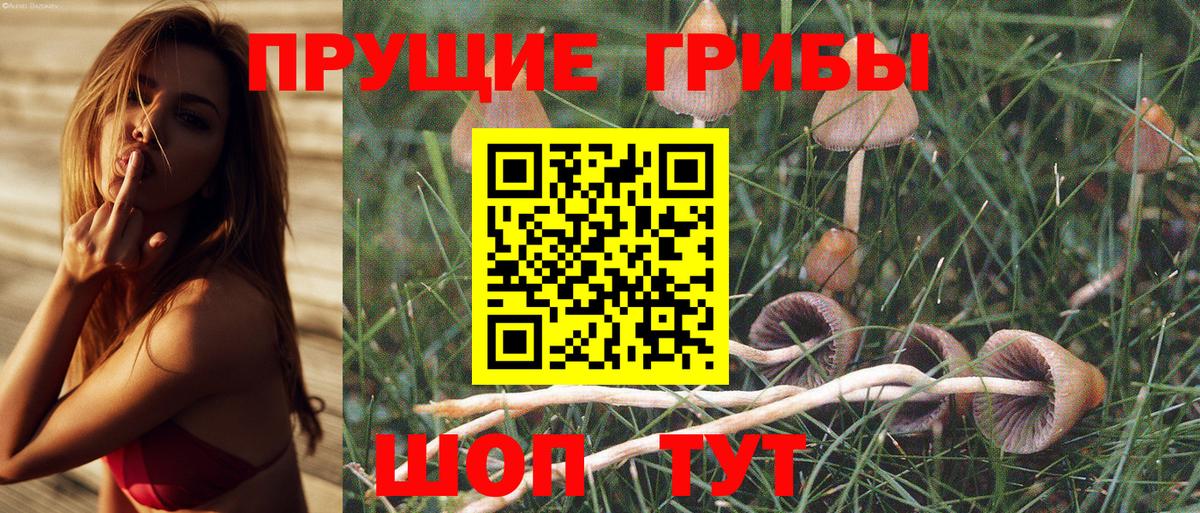 Псилоцибиновые грибы Magic Shrooms  Вход с VPN  Галлюциногенные грибы Psilocybe  Барнаул 